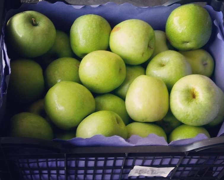 Τρίτεκνοι Μεσσηνίας: Διανομή μήλων ως την Παρασκευή 15/9